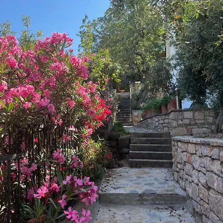 Villa Family With Rooftop Sea Views In Yalikavak Bodrum